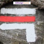 The Other Meaning of Illustration and Its Terrible Paucity in Elearning